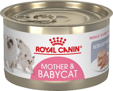 Royal Canin Mother and Babycat Ultra-Soft Mousse in Sauce