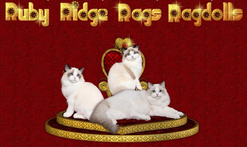 Ruby Ridge Rags logo