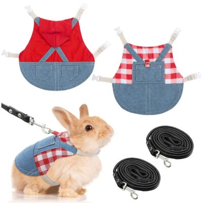 Saintrygo Rabbit Harness