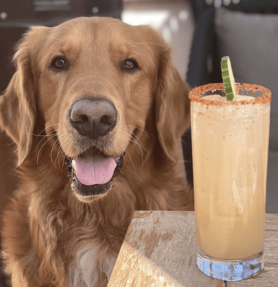 San Diego Mission Bay Resort