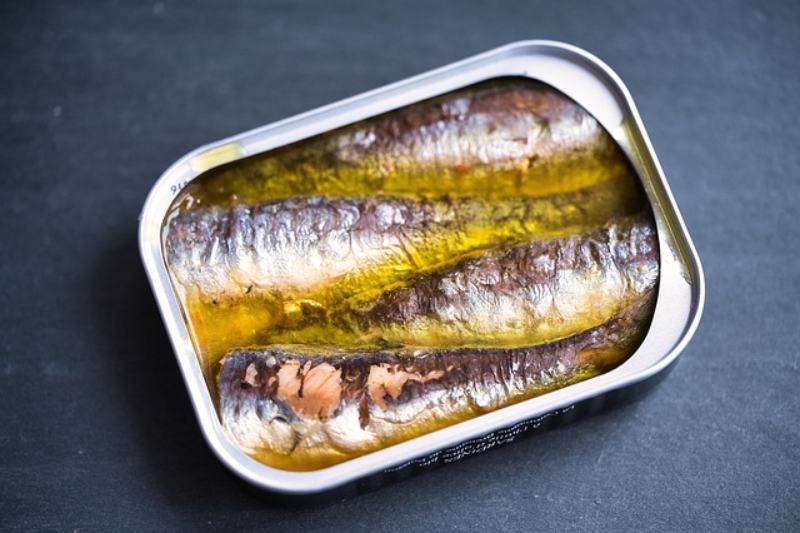 Sardines in a can