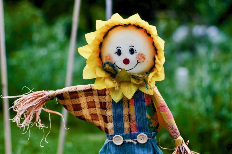 Scarecrow in the garden