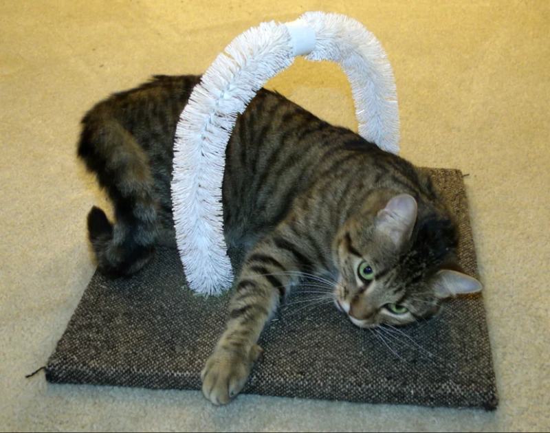 Self Petting Station