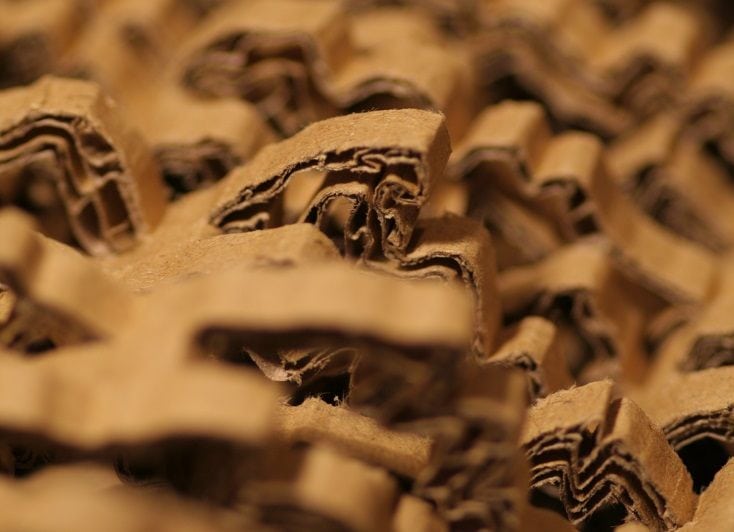 Shredded cardboard close up