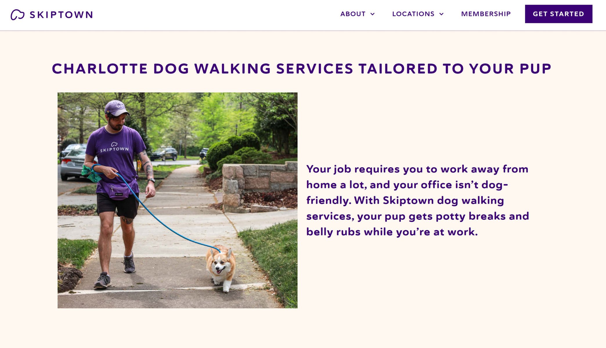 Skiptown - Dog Walking