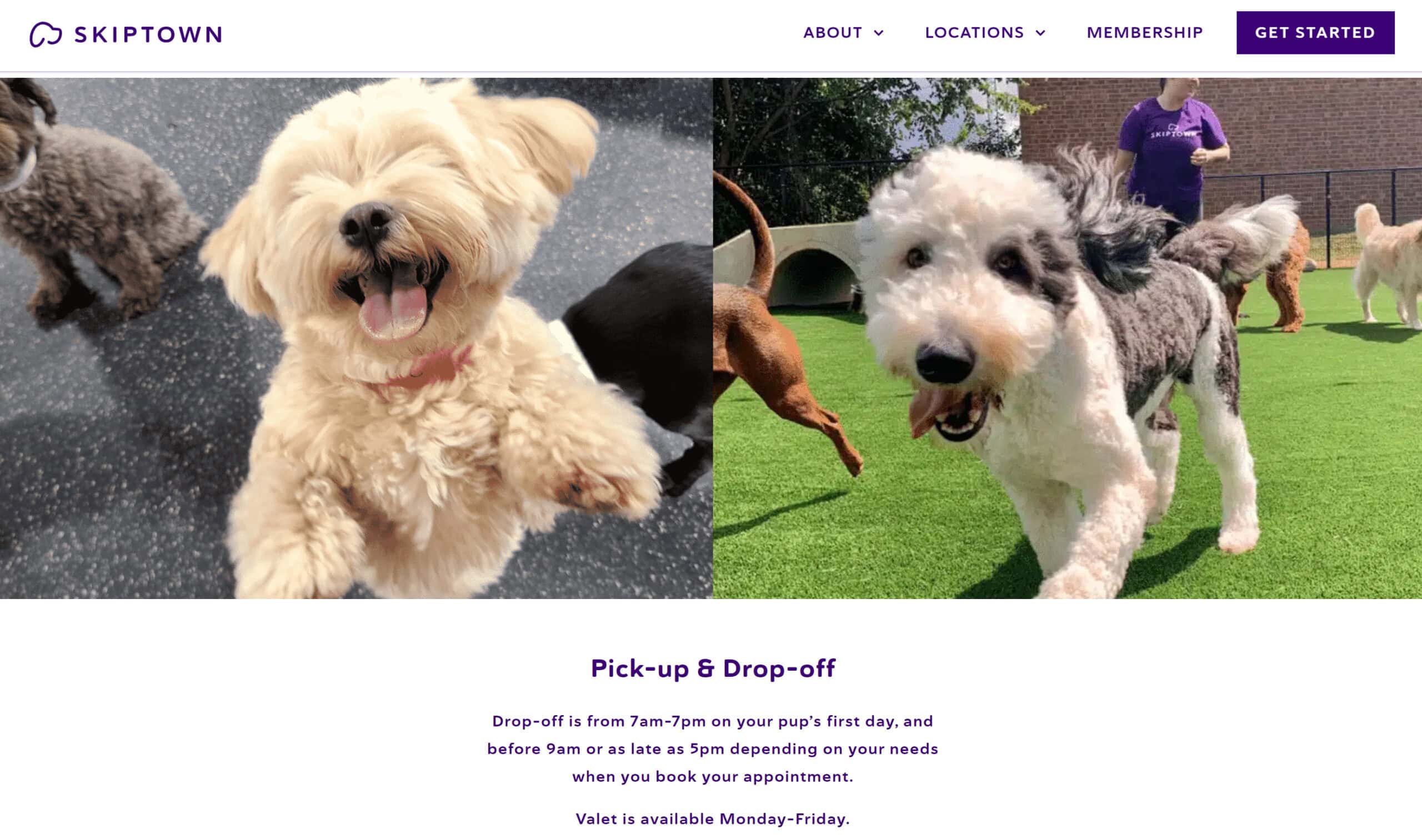 Skiptown - Pick up and Drop off