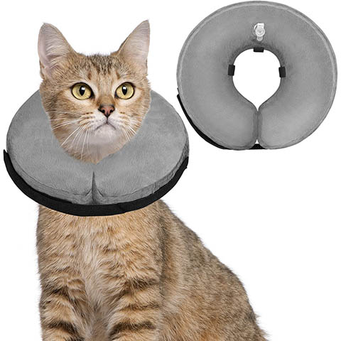 Soft Dog Cone Collar