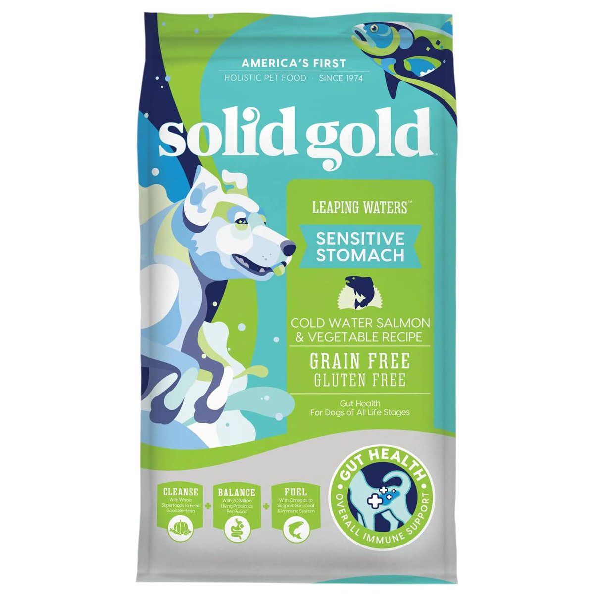 Solid Gold Leaping Waters Sensitive Stomach Salmon & Vegetable Dry Dog Food