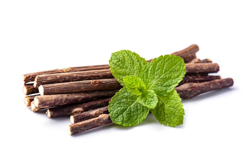 Sticks of catnips on white backgrounds