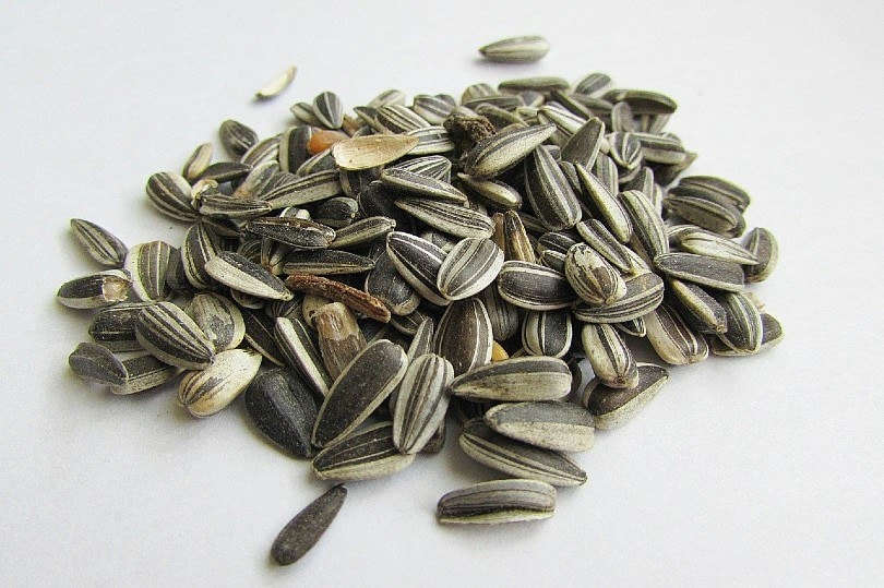 Striped sunflower seeds