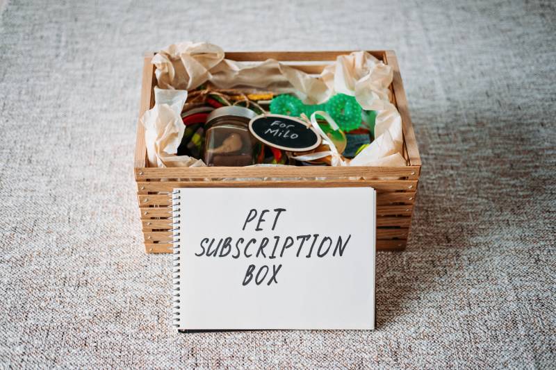 Subscription pet Box with Organic Treats, Fun Toy, Bully Sticks, All-Natural Chews, skincare or wellness item, gadgets and seasonal gear