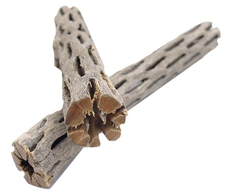 SubstrateSource Cholla Wood Aquarium & Terrarium Driftwood, 6-in, 2 count