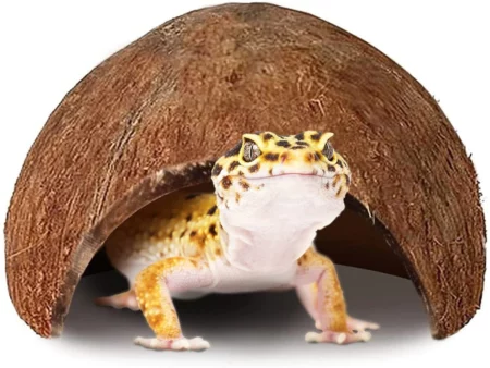 SunGrow Leopard Gecko & Ball Python Natural Hiding & Reptile Climbing Cave Basking & Tank Accessories