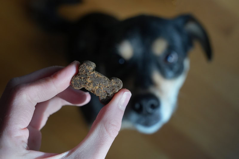 Sunday Scaries FOMO Bones - dog treat