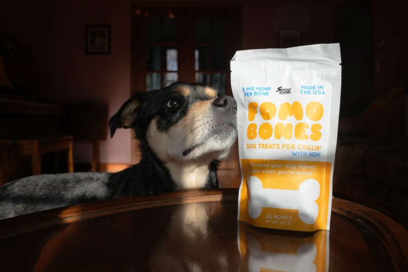 Sunday Scaries FOMO Bones - elo sniffing the treat bag