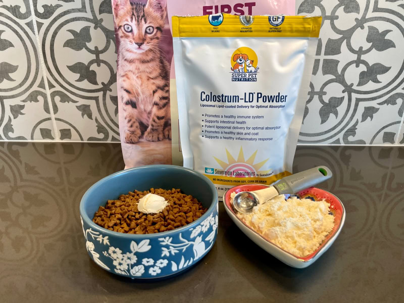 Super Pet Nutrition Colostrum-LD Powder - cat food with the powder