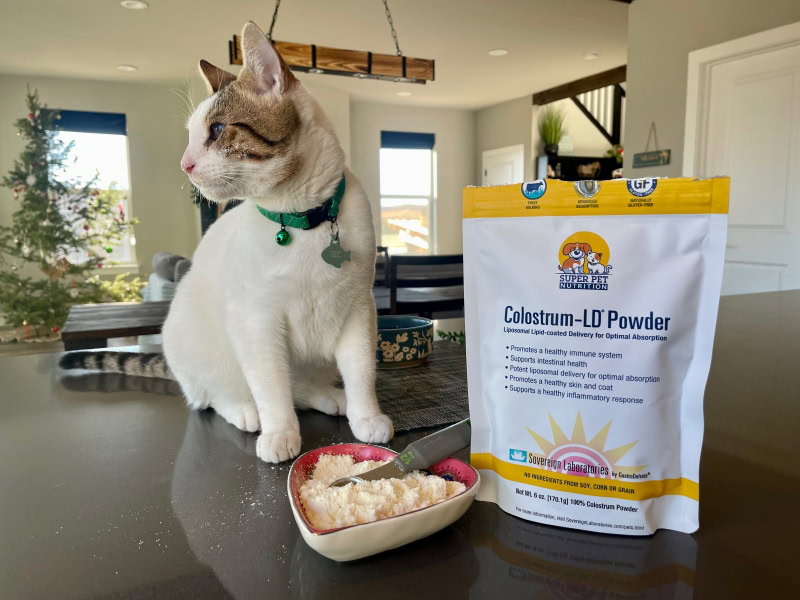 Super Pet Nutrition Colostrum-LD Powder - makoa sitting next to a bowl of colostrum-ld powder