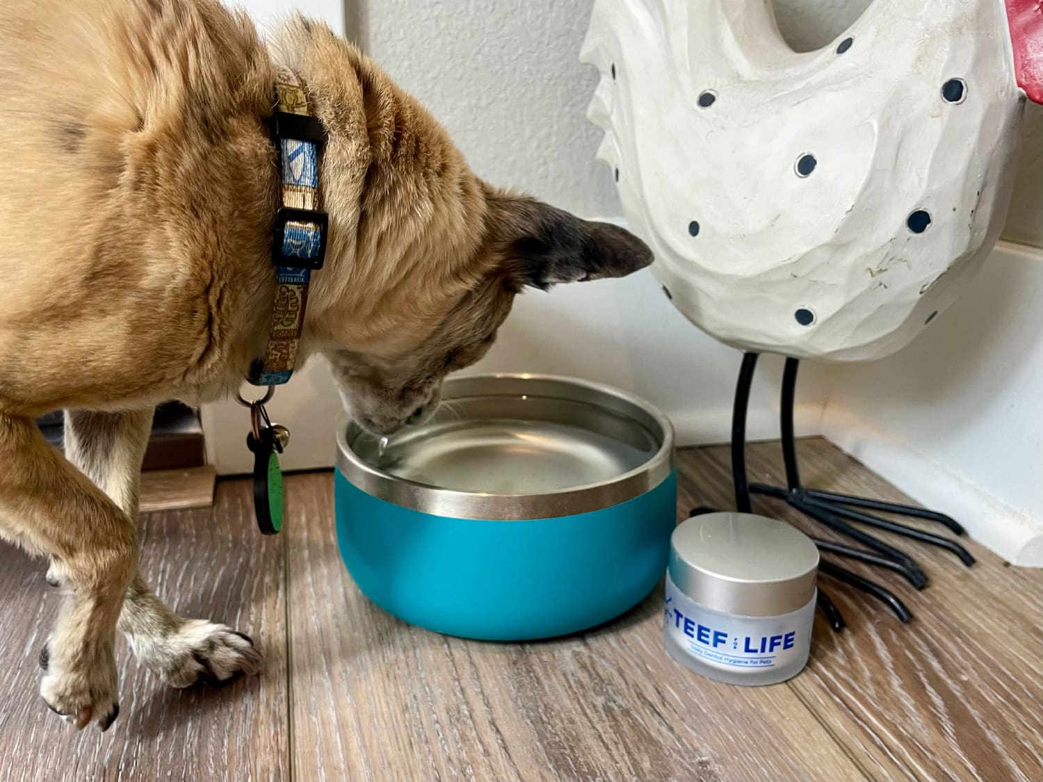 TEEF for Life - papyrus drinking water mixed with protektin