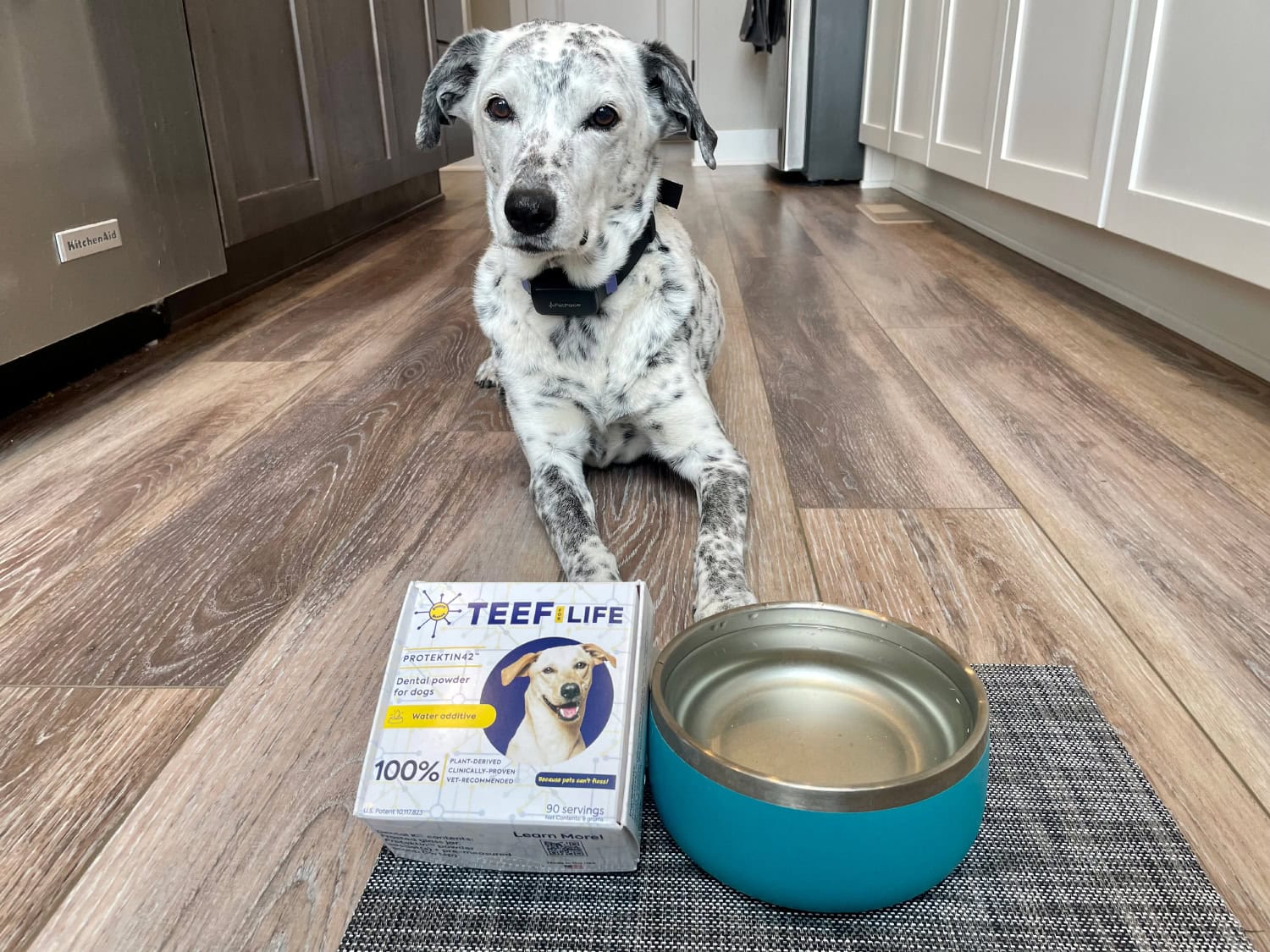 TEEF for Life.jpg - ragz with the product and bowl