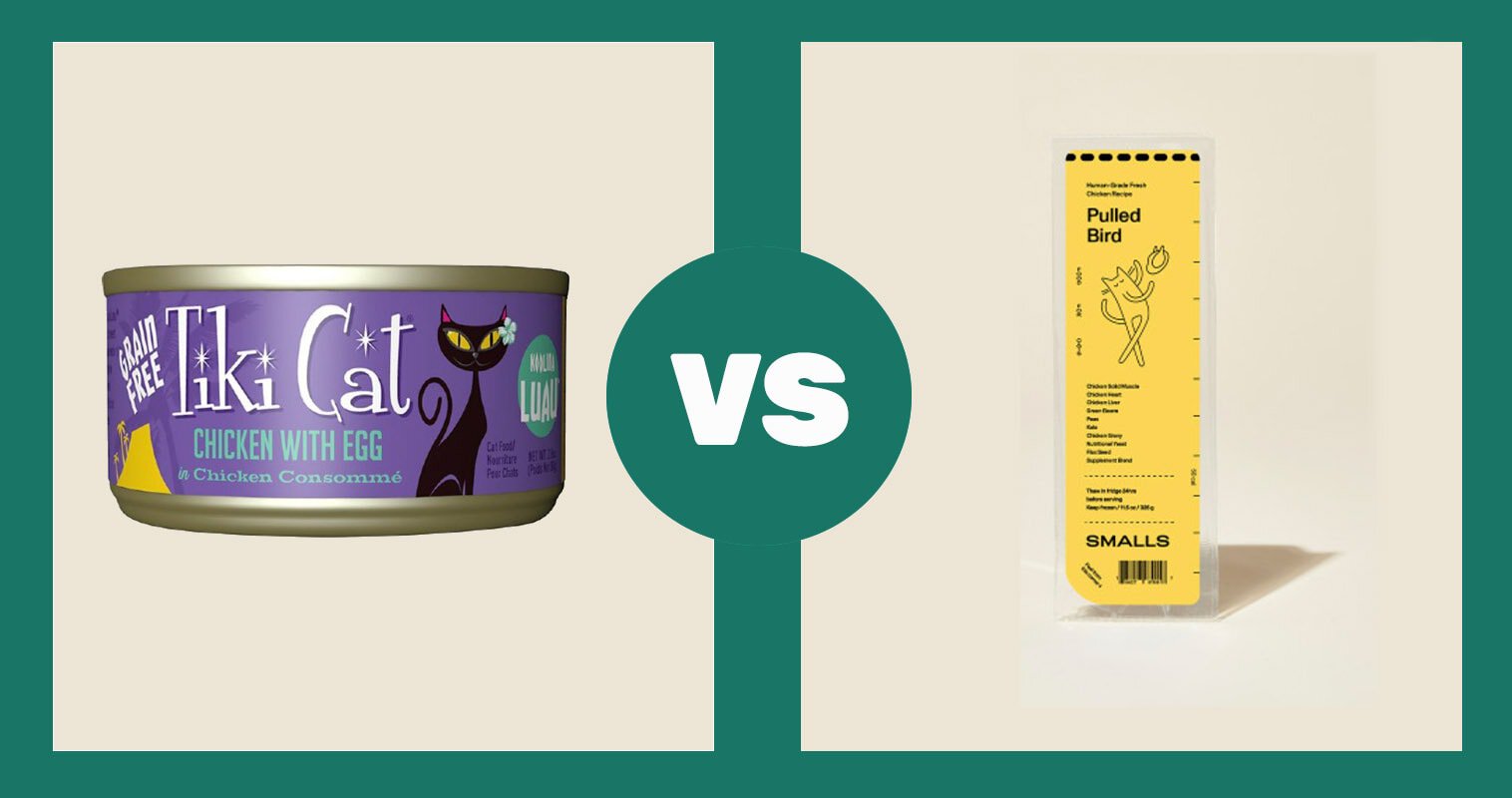 TIKI CAT VS PULLED BIRD SMALLS