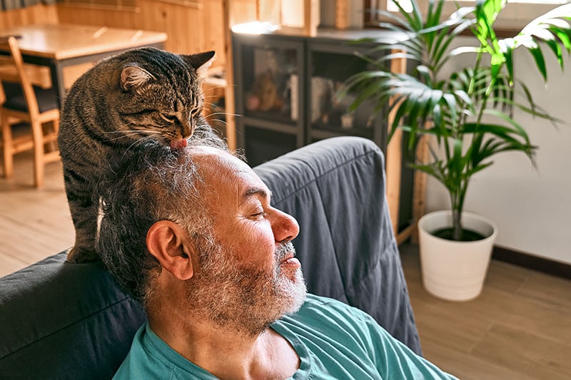 Tabby cat licking head of bearded man in living room