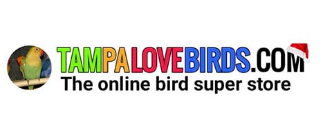 Tampa Love Birds