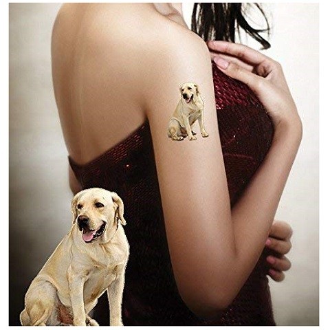 Temporary Tattoos Pet Tattoos