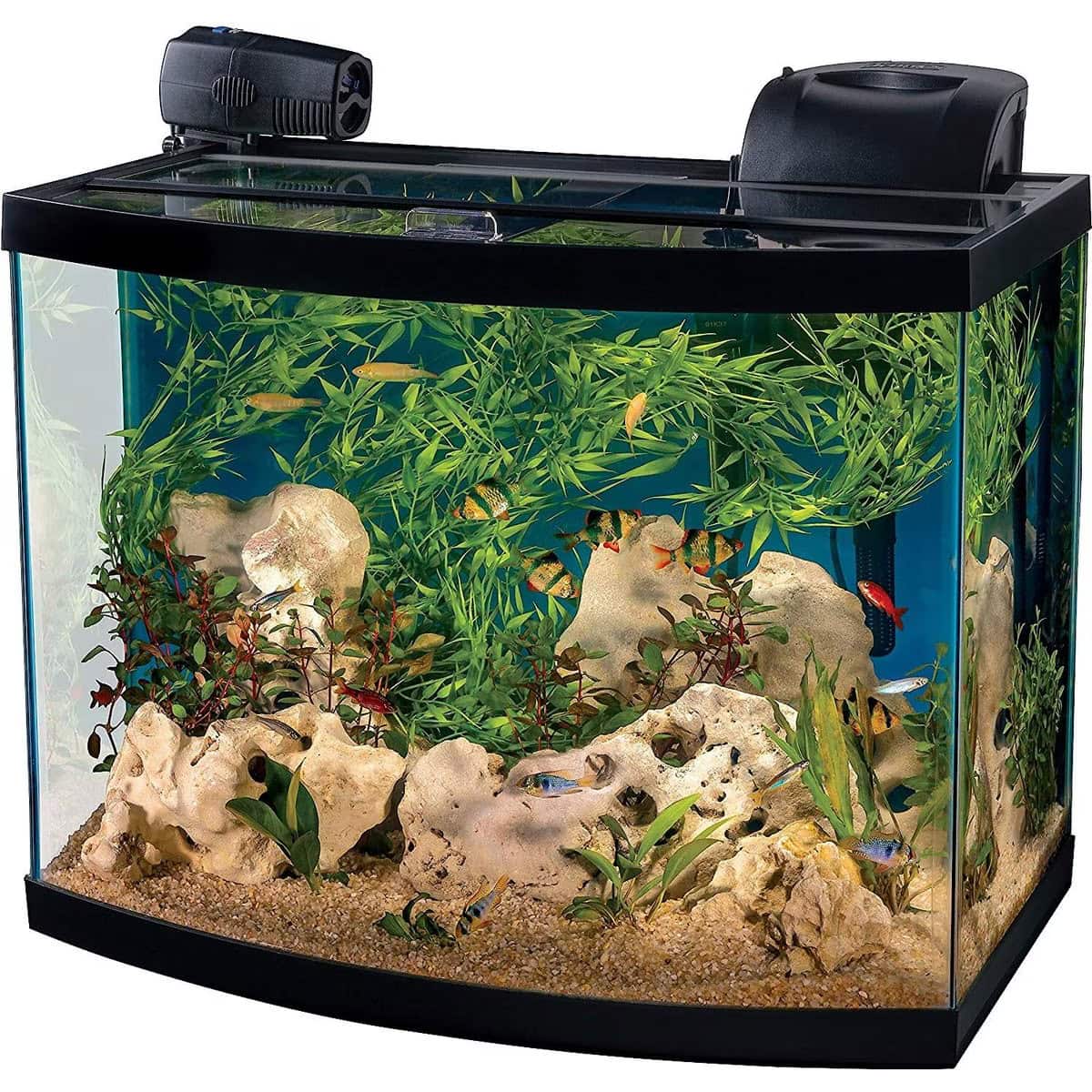 Tetra Connect Curved Aquarium Kit