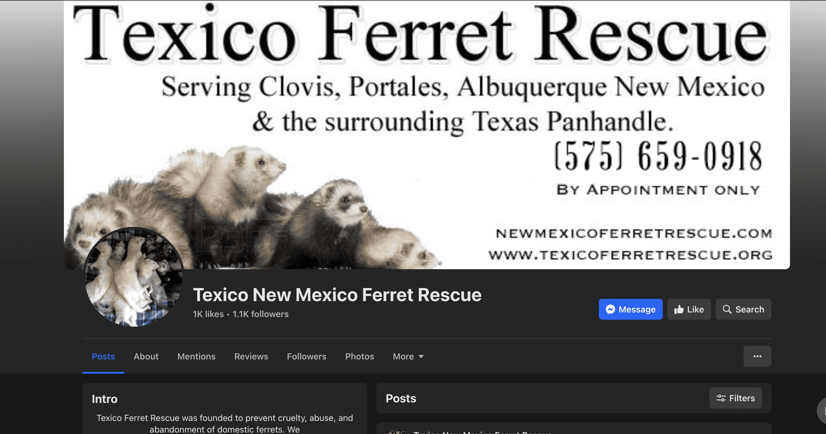 Texico Ferret Rescue, Texico, NM