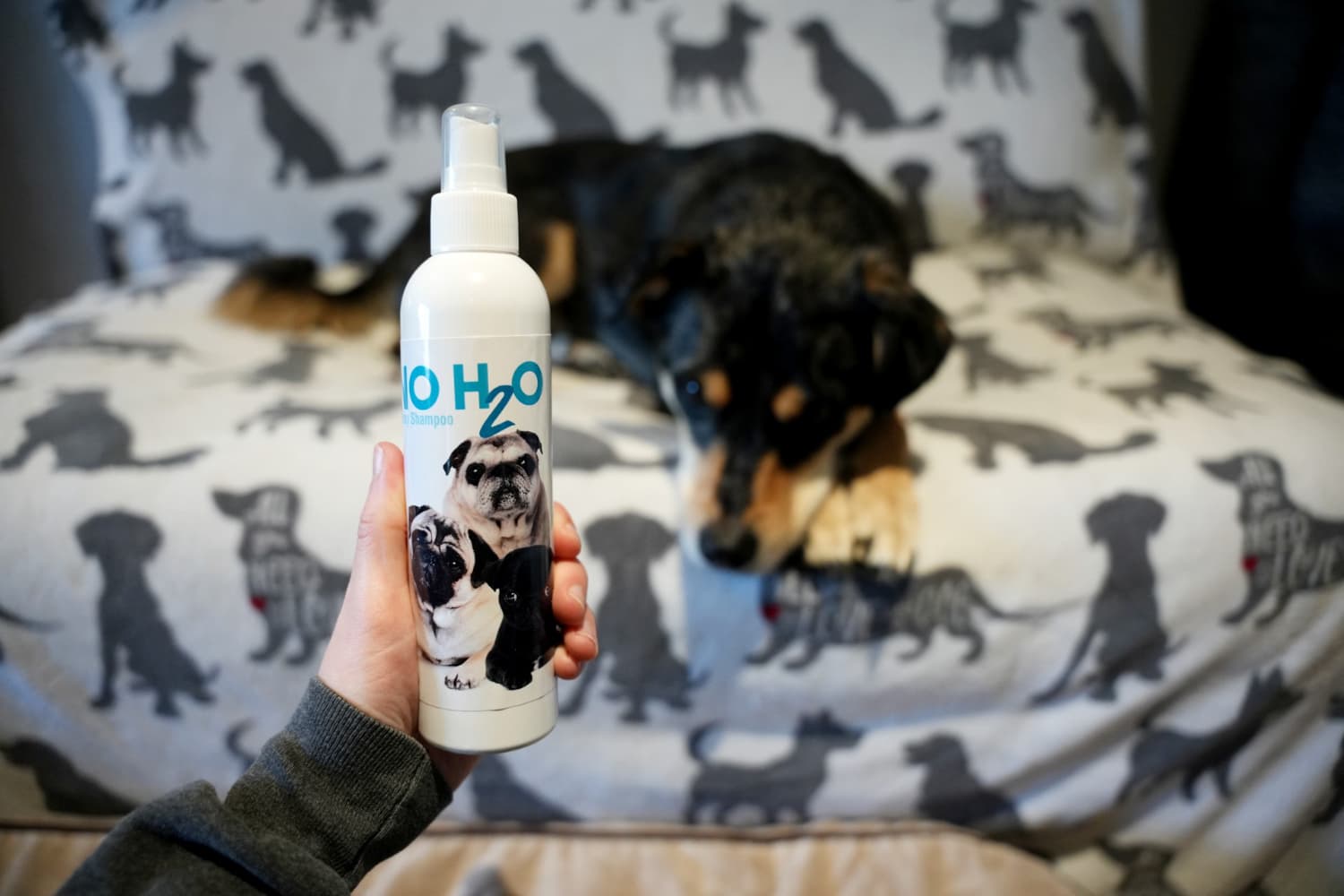 The Blissful Dog No H2O Spray Pet Shampoo - product and elo