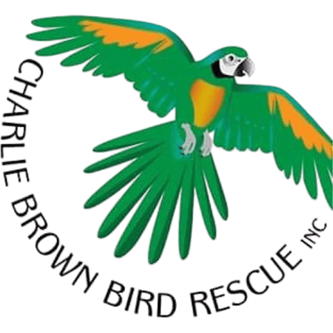 The Charlie Brown Bird Rescue