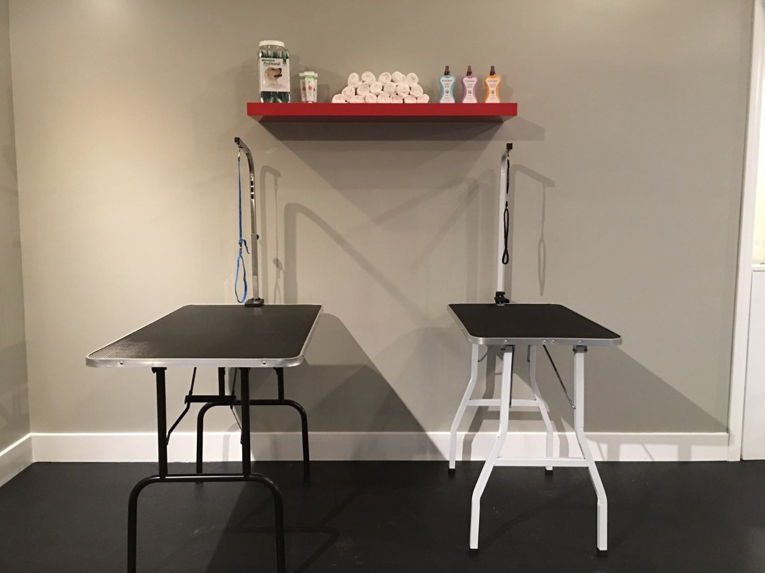 The Puppy Academy Dog Trainin - grooming training room