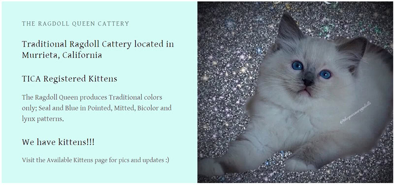 The Ragdoll Queen Cattery logo