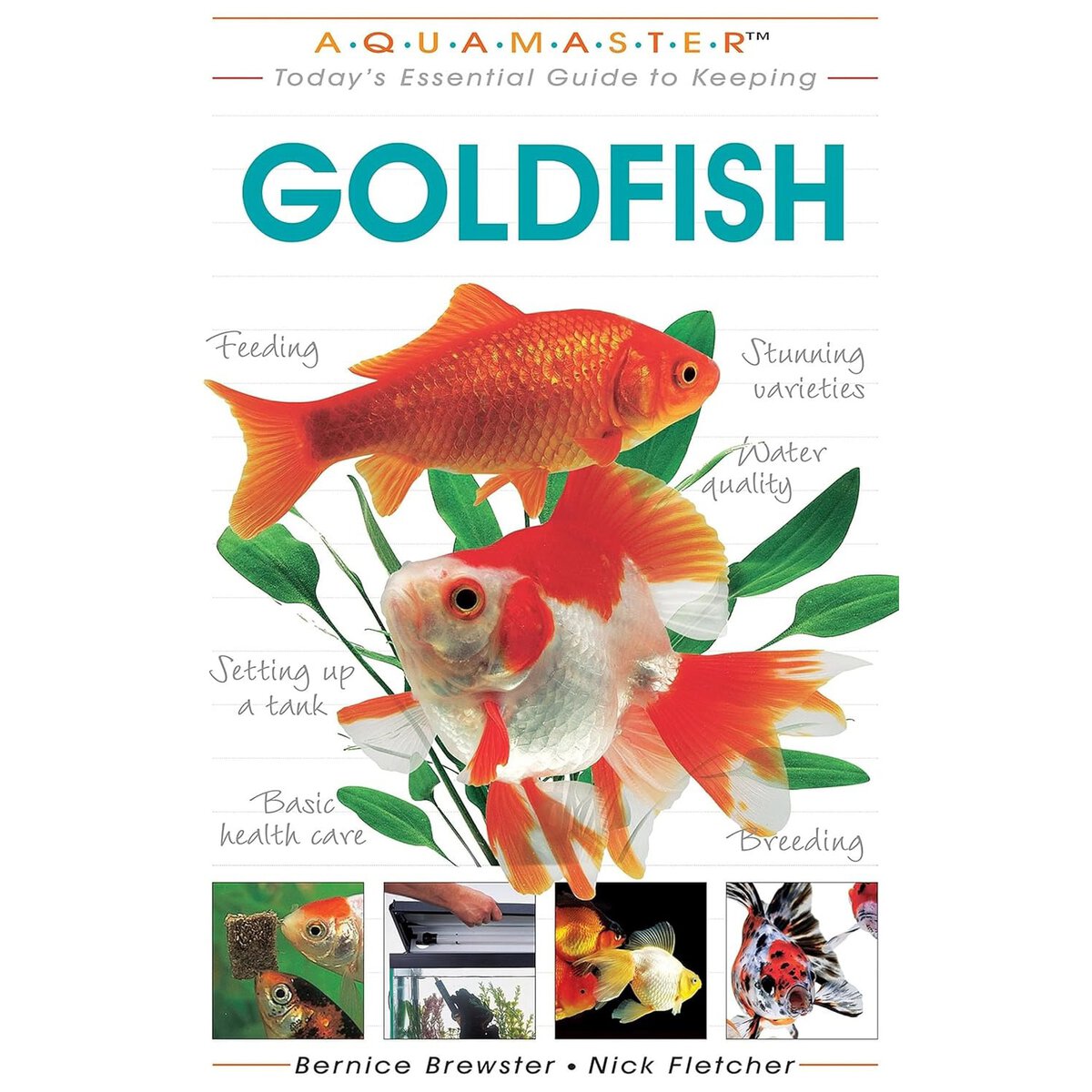 Today_s Essential Guide to Keeping Goldfish New
