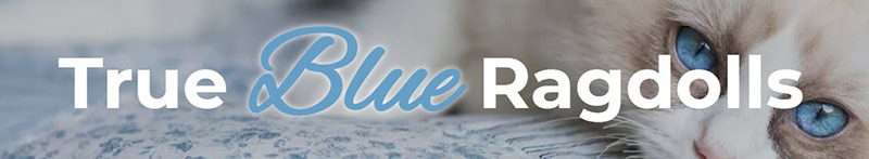 True Blue Ragdolls logo
