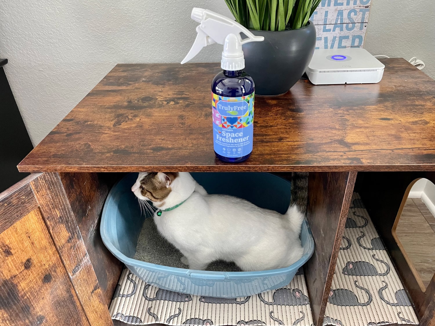 Truly Free Home Pet Cleaning Kit - space freshener