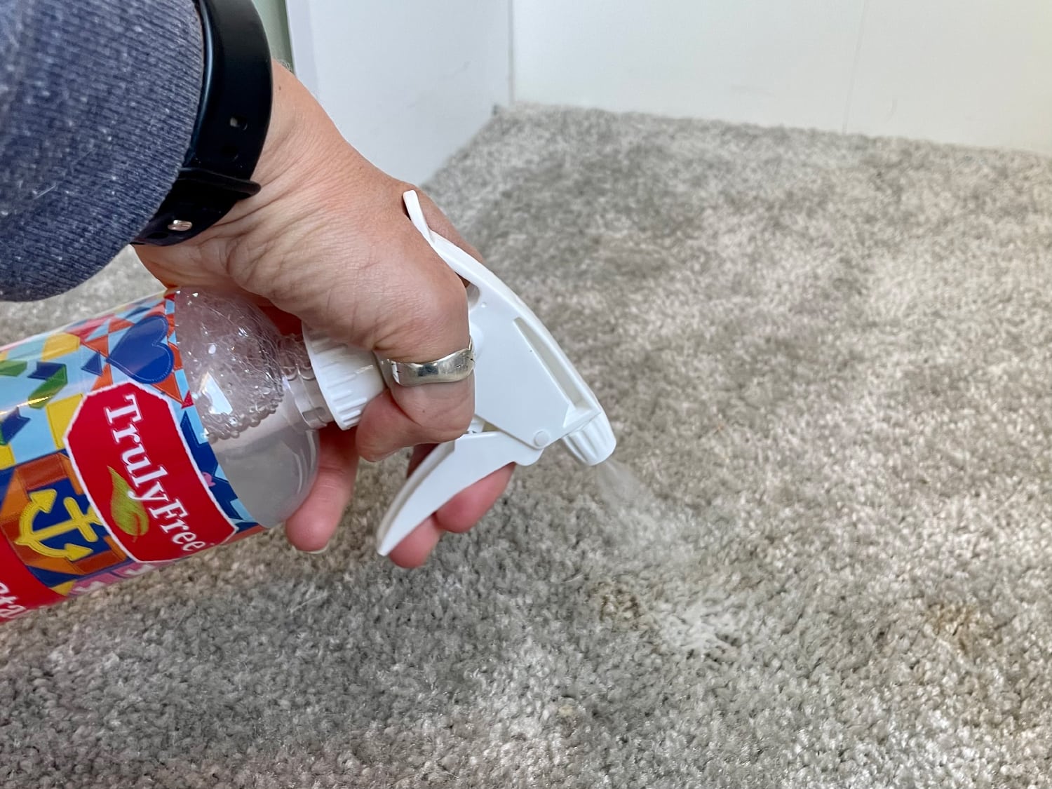 Truly Free Home Pet Cleaning Kit - spraying product to the carpet