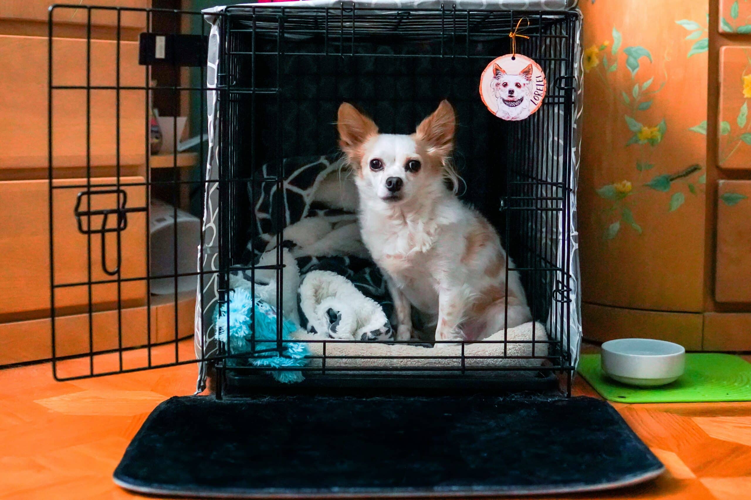 Unifury Wooden Ornament on Cage