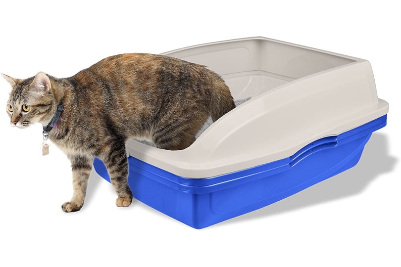 Van Ness CP5 cat litter box_Amazon