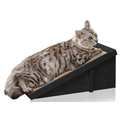 Way Basics Incline Scratcher