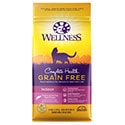 Wellness Complete Health Indoor Dry Cat Food