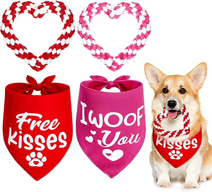 Whaline 4 Pack Valentine's Day Dog Chewing Toys