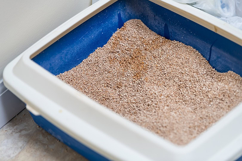 Wheat Cat Litter