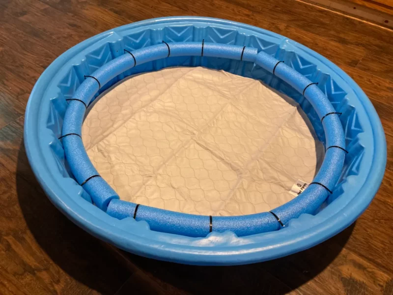 Whelping pool by Timberidge