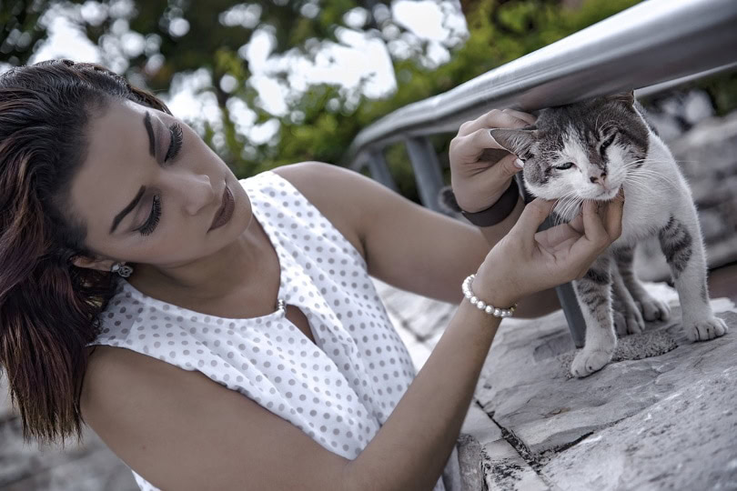 Woman checking out a stray cat