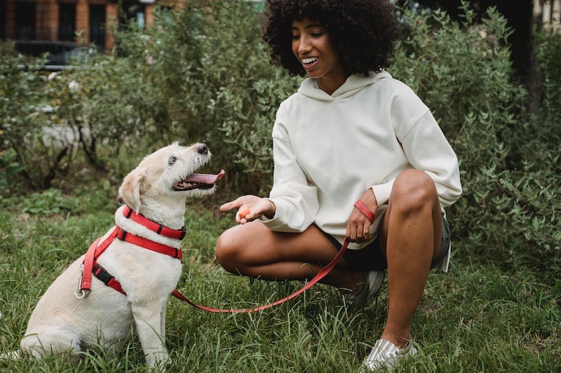 Woman giving treats to a dog