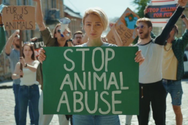 Woman holding animal rights placard