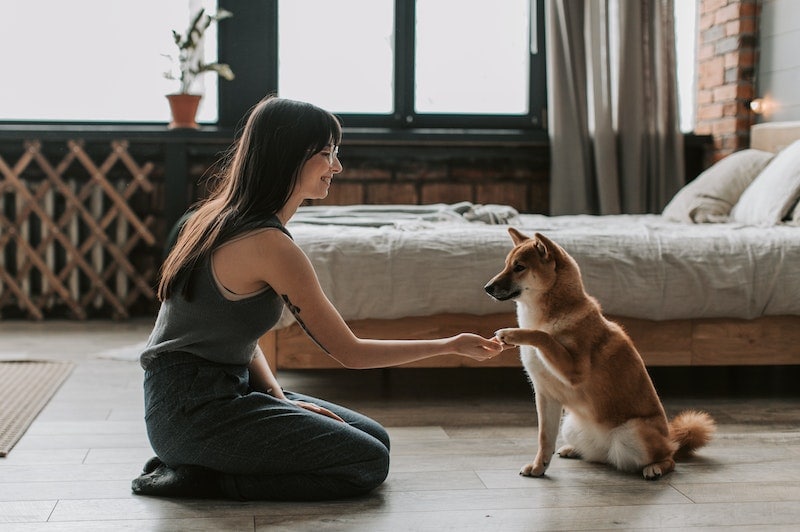 Woman holding dog's paw