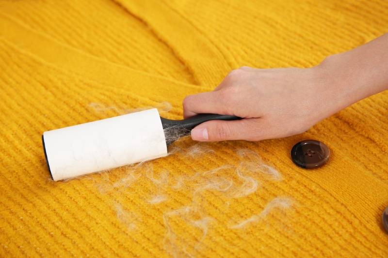 Woman removing hair from yellow knitted jacket with lint roller