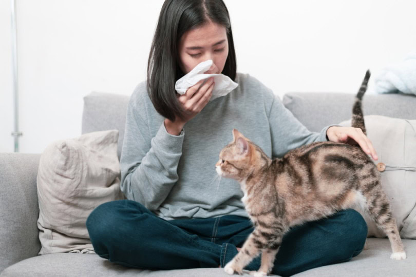 Woman with allergies holding a cat
